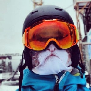 animal-ski-masks-4